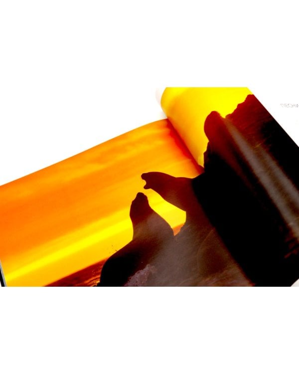 Россия. Заповедными дикими тропами. Фотоальбом