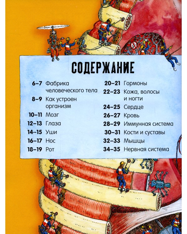 Невероятное тело человека. Как устроен организм внутри