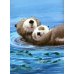 Скорей давай лапу!: книжка-картинка