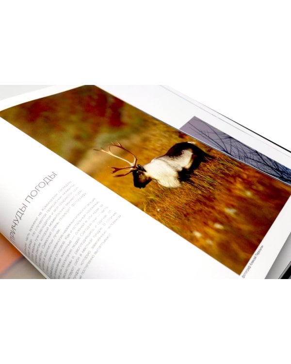 Россия. Заповедными дикими тропами. Фотоальбом