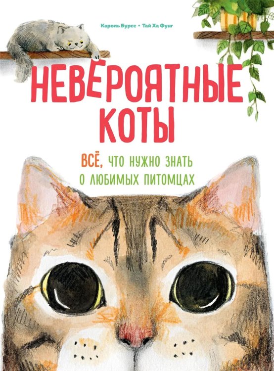 Невероятные коты. Все, что нужно знать о любимых питомцах