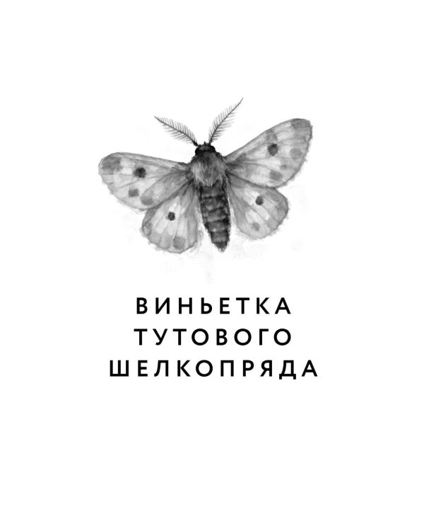 Энтомология для слабонервных