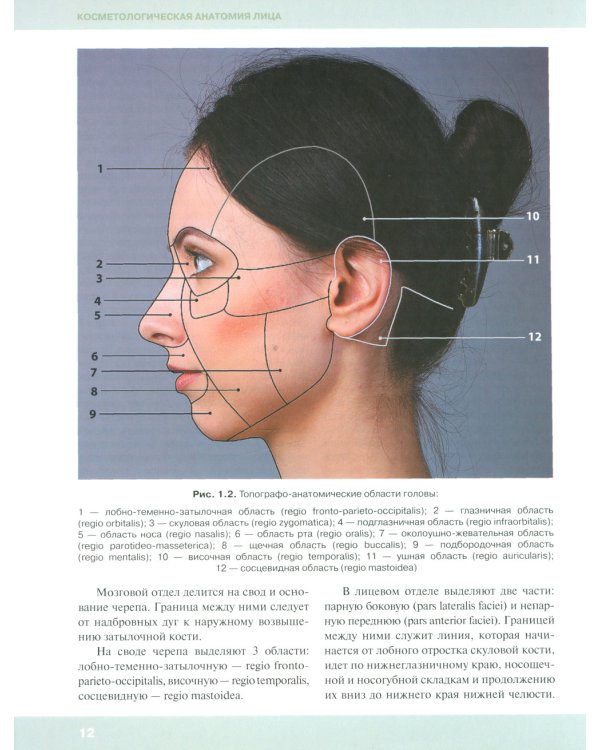 Косметологическая анатомия лица. 3-е изд., испрв. и доп