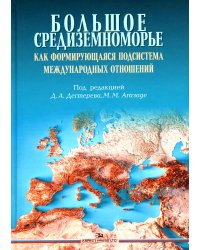 Большое Средиземноморье как формирующаяся подсистема международных отношений: монография