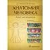 Анатомия человека: атлас для педиатров: Учебное пособие Анатомия человека: атлас для педиатров: Учебное пособие