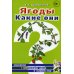 Ягоды. Какие они? Книга для воспитателей, гувернеров и родителей