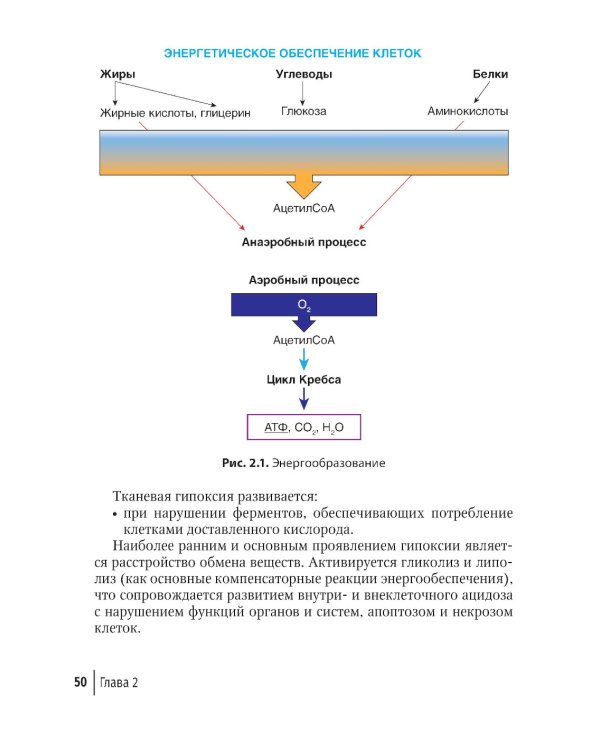 Оказание неотложной и экстренной медицинской помощи в стоматологической практике : практическое руководство