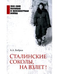 Сталинские соколы, на взлет!