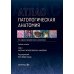 Патологическая анатомия. Атлас. В 2 т. Т. 2: Частная патологическая анатомия: Учебное пособие. 2-е изд., перераб. и доп