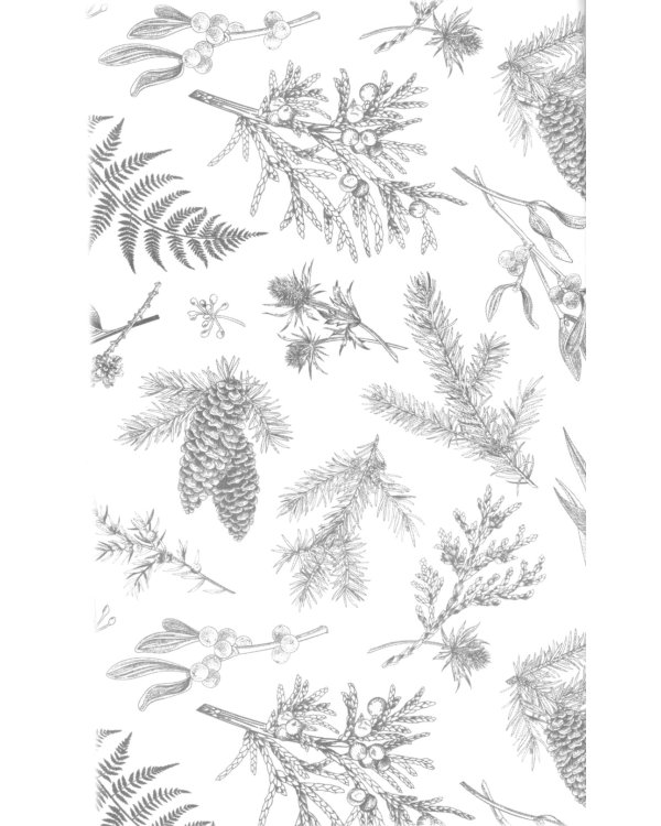 Сердце зимы