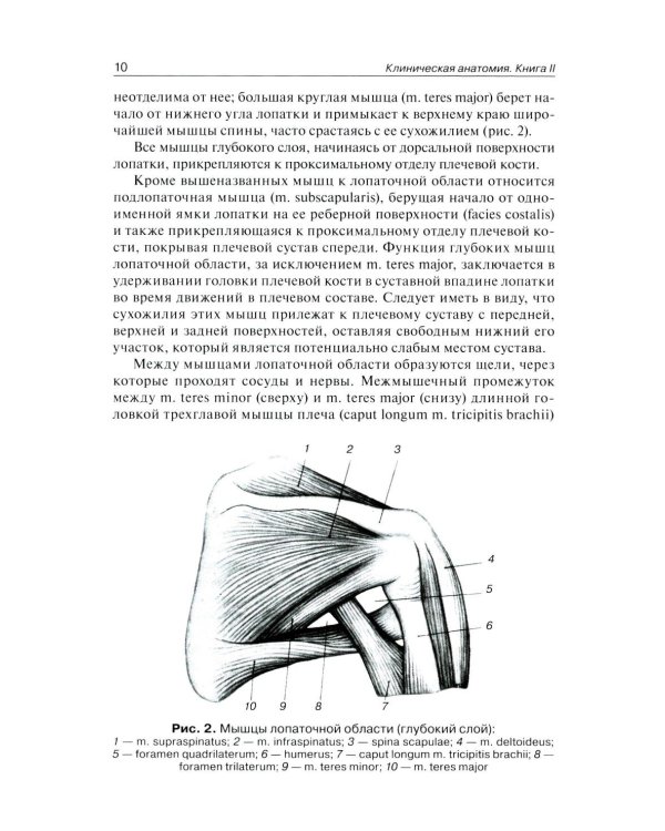 Клиническая анатомия: В 2 кн.: Учебник. 3-е изд., стер