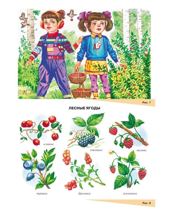 Занимаемся вместе. Старшая группа компенсирующей направленности для детей с ТНР: Домашняя тетрадь. Ч. 1 и Ч. 2 (комплект из 2-х книг)