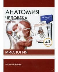 Анатомия человека: карточки (43 шт). Миология: Учебное пособие