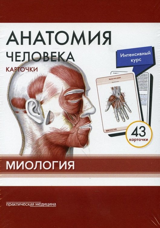 Анатомия человека: карточки (43 шт). Миология: Учебное пособие