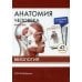 Анатомия человека: карточки (43 шт). Миология: Учебное пособие