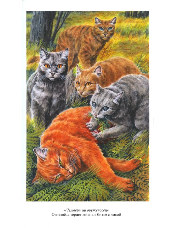 Четвертый оруженосец. Долгое эхо