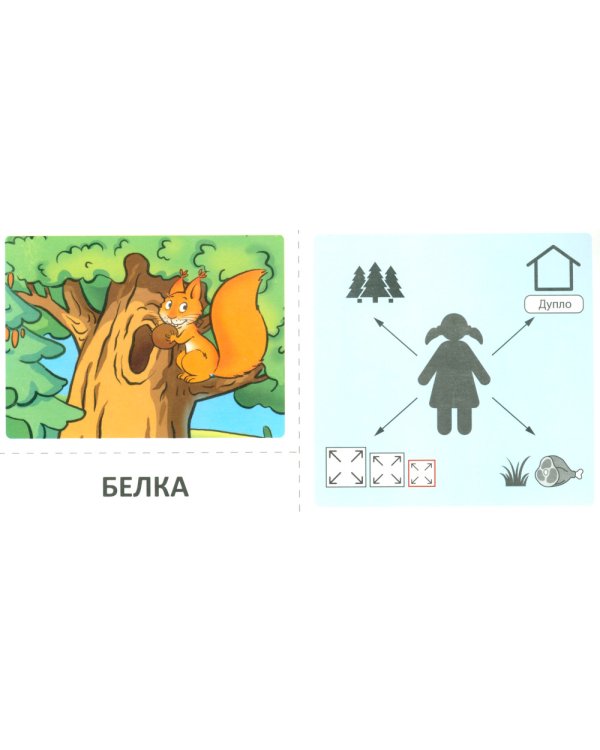 Набор речевых карточек с рисунками. Учебно-игровой комплект №7 (комплект из 6 наборов карточек)