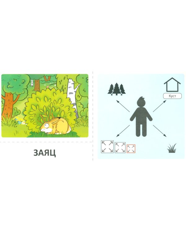 Набор речевых карточек с рисунками. Учебно-игровой комплект №7 (комплект из 6 наборов карточек)