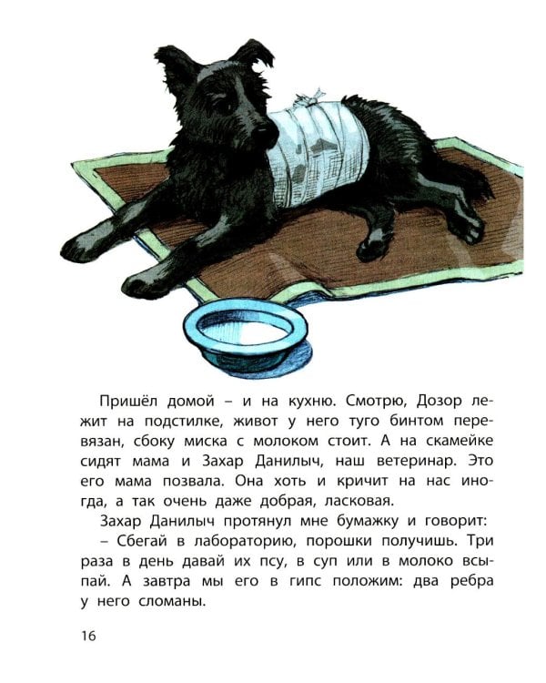 Сердце друга: пять историй про детей и их четвероногих друзей