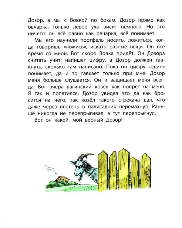 Сердце друга: пять историй про детей и их четвероногих друзей