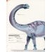 Dictionary of Dinosaurs Dictionary of Dinosaurs
