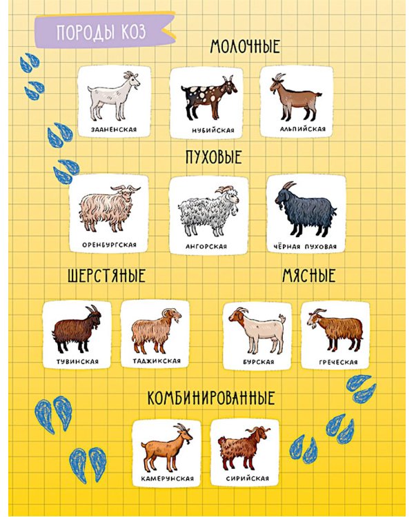 Дополнительное изображение книги «Домашние животные»