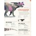 Dictionary of Dinosaurs Dictionary of Dinosaurs