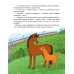 Дополнительное изображение книги «Домашние животные»