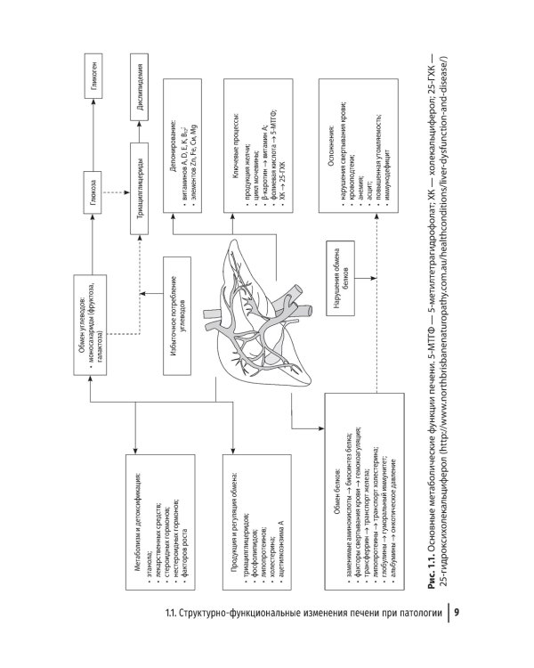 Гепатопротекторы. Руководство для врачей. 2-е изд., перераб. и доп
