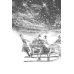 Медный всадник: Петербургская повесть: поэма