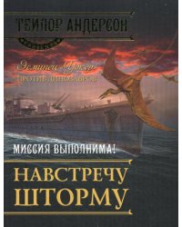 Навстречу шторму