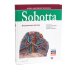 Sobotta. Атлас анатомии человека. В 3 т (комплект из 3-х книг)