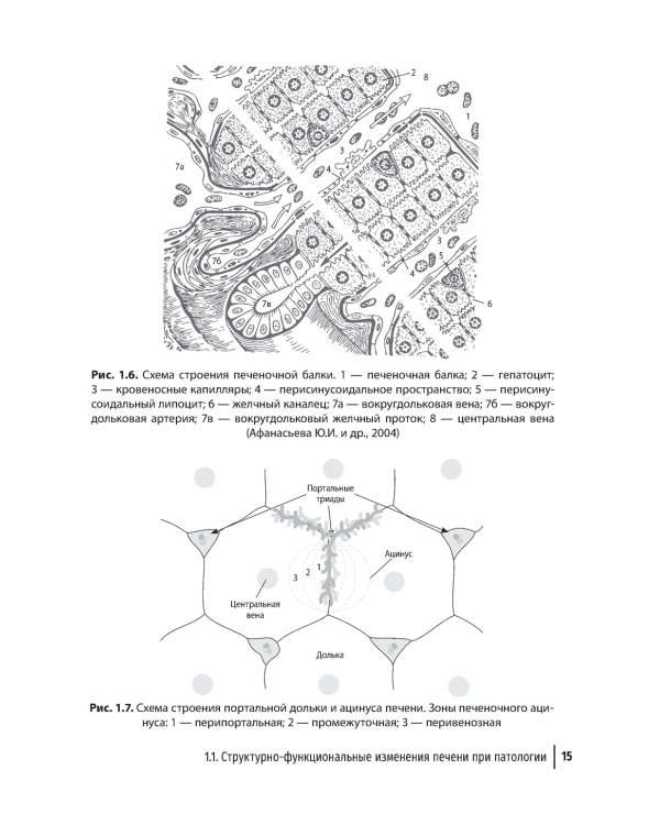 Гепатопротекторы. Руководство для врачей. 2-е изд., перераб. и доп
