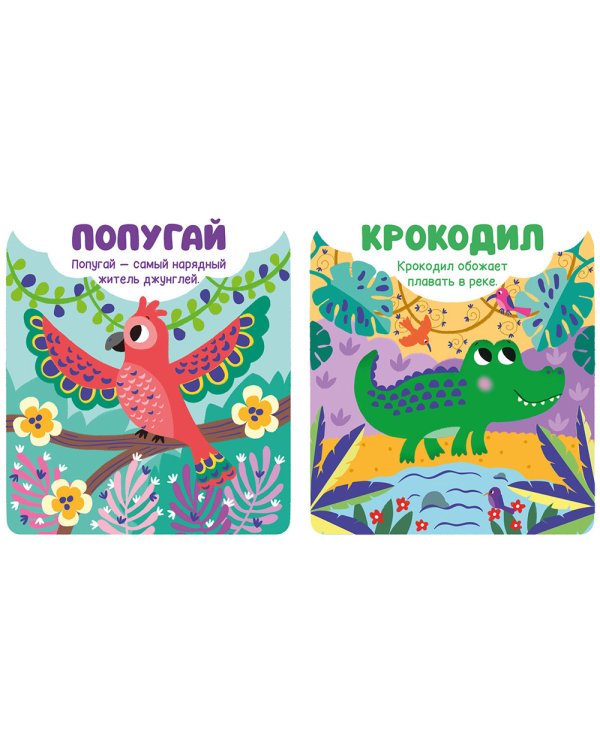 Дополнительное изображение книги «Животные»