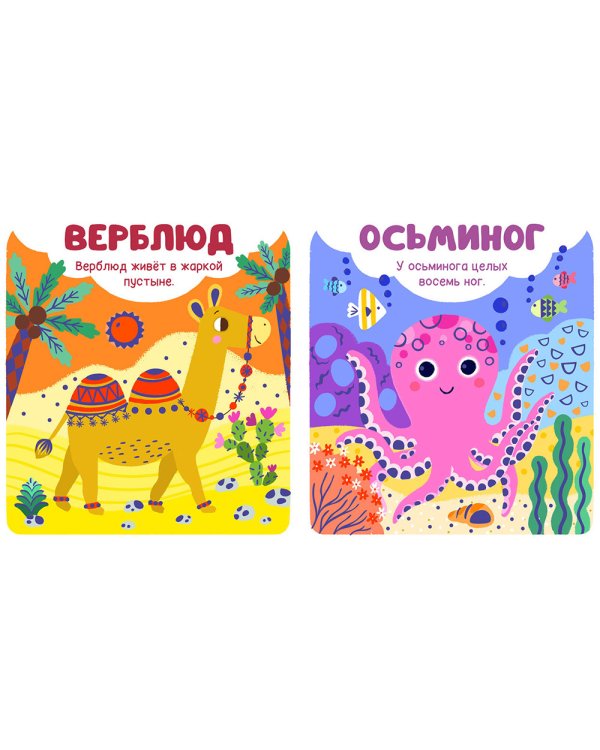 Дополнительное изображение книги «Животные»