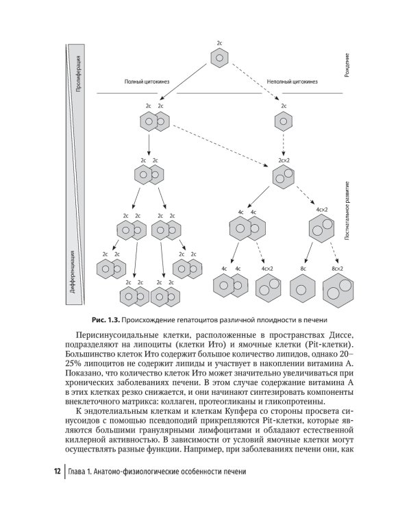 Гепатопротекторы. Руководство для врачей. 2-е изд., перераб. и доп