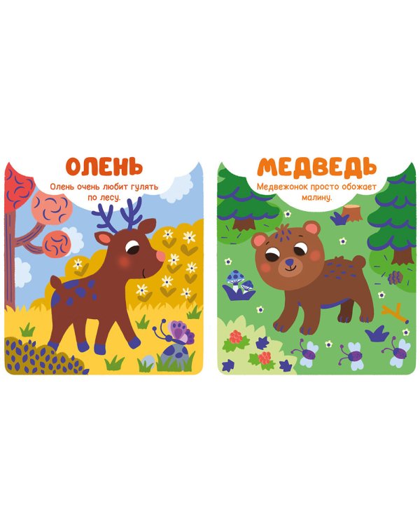 Дополнительное изображение книги «Животные»