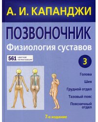 Позвоночник: Физиология суставов: схемы механики человека с комментариями