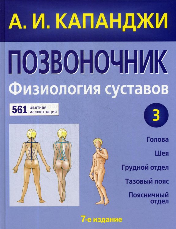 Позвоночник: Физиология суставов: схемы механики человека с комментариями