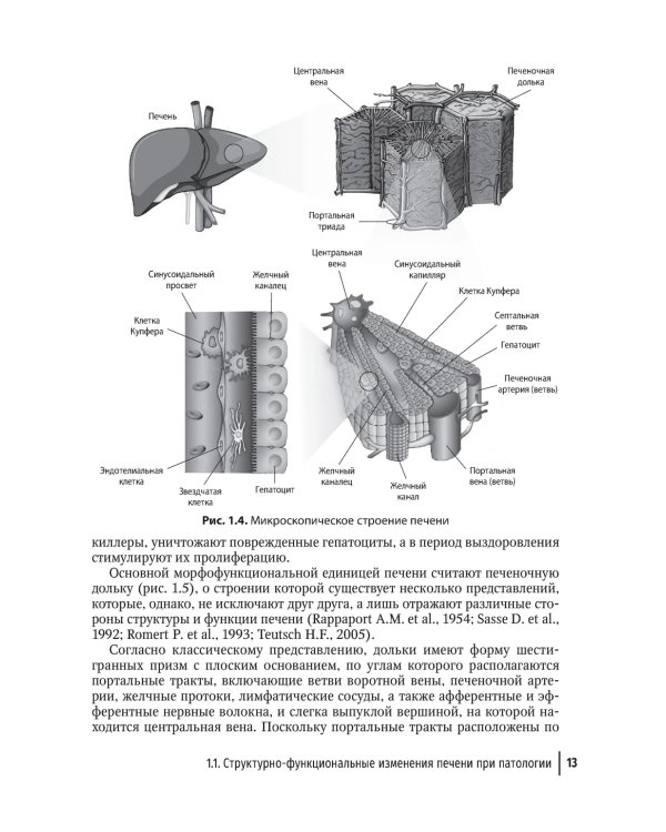 Гепатопротекторы. Руководство для врачей. 2-е изд., перераб. и доп