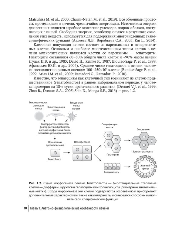 Гепатопротекторы. Руководство для врачей. 2-е изд., перераб. и доп