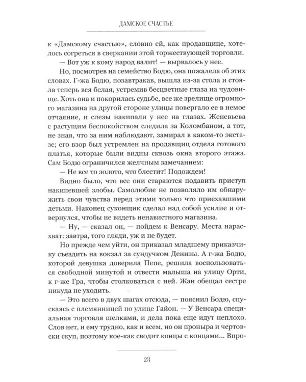 Дополнительное изображение книги «Дамское счастье: роман»