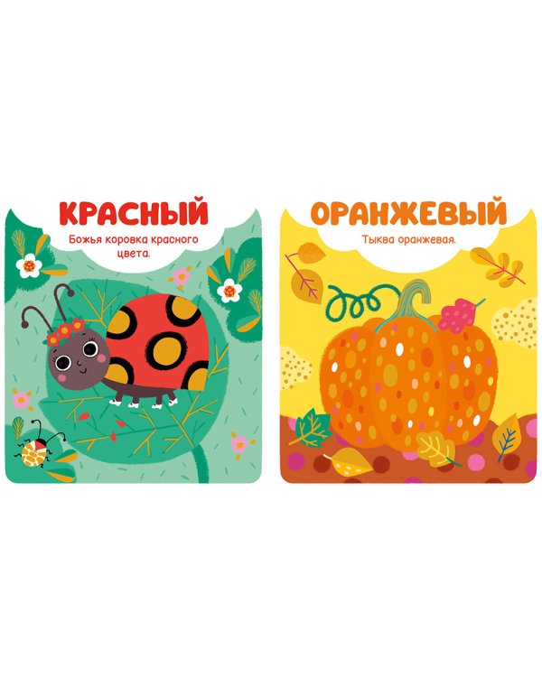 Цвета