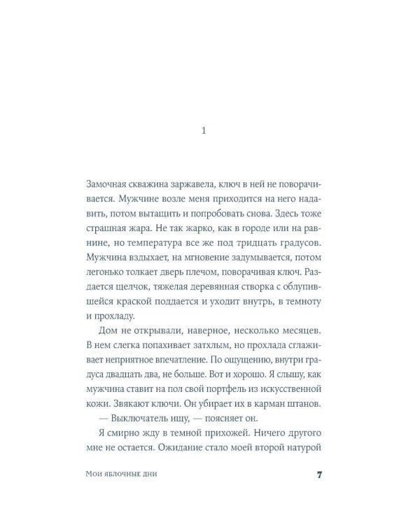 Мои яблочные дни: роман