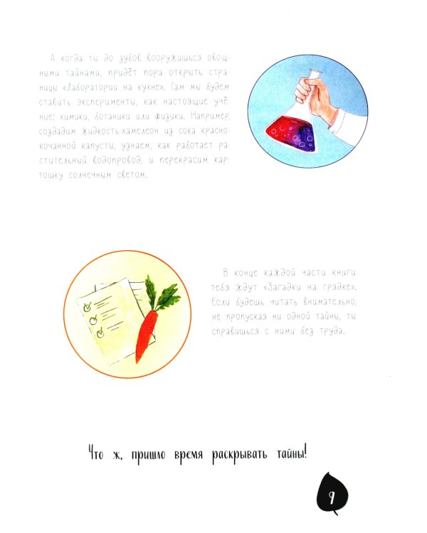 Тайная жизнь овощей: веселые истории, задания и эксперименты. 2-е изд., редизайн