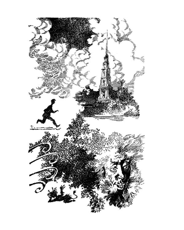 О чем молчат французы: роман