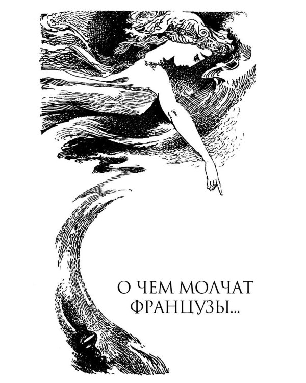 О чем молчат французы: роман