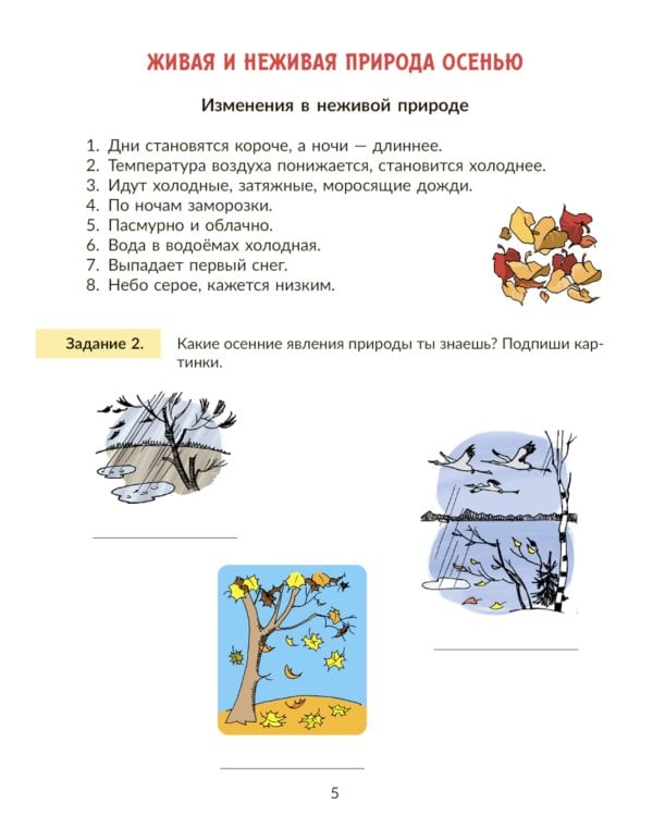 Окружающий мир: Тренажер. 2 кл. Самые важные темы программы с проверочными заданиями и ответами
