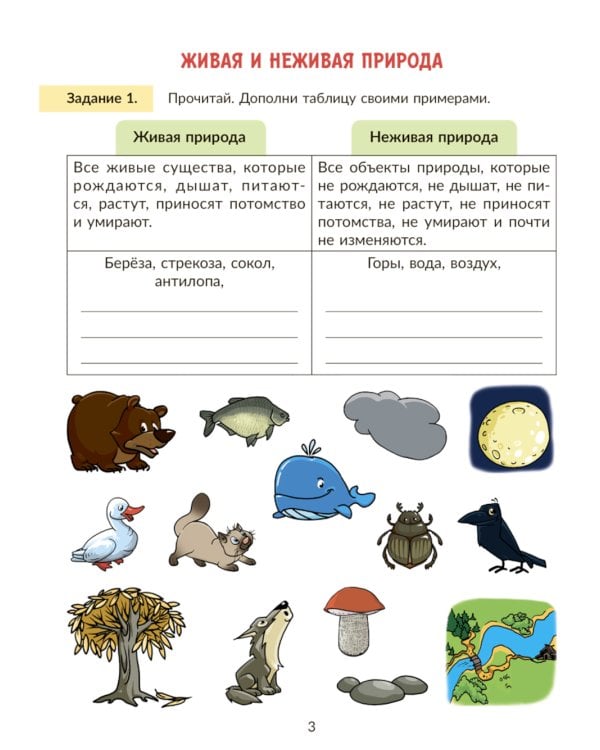 Окружающий мир: Тренажер. 2 кл. Самые важные темы программы с проверочными заданиями и ответами