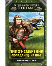 Пилот-смертник. «Попаданец» на Ил-2